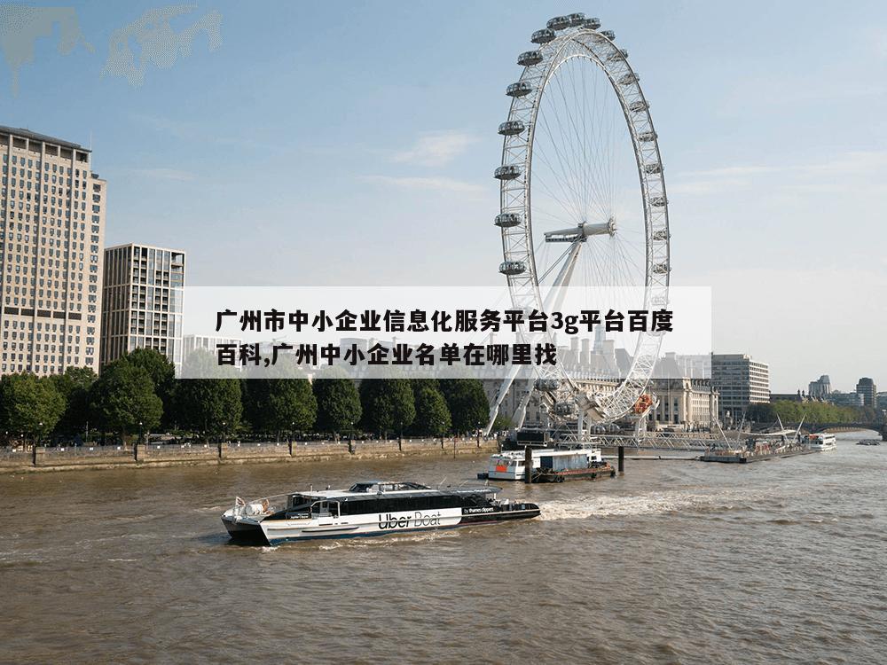 广州市中小企业信息化服务平台3g平台百度百科,广州中小企业名单在哪里找
