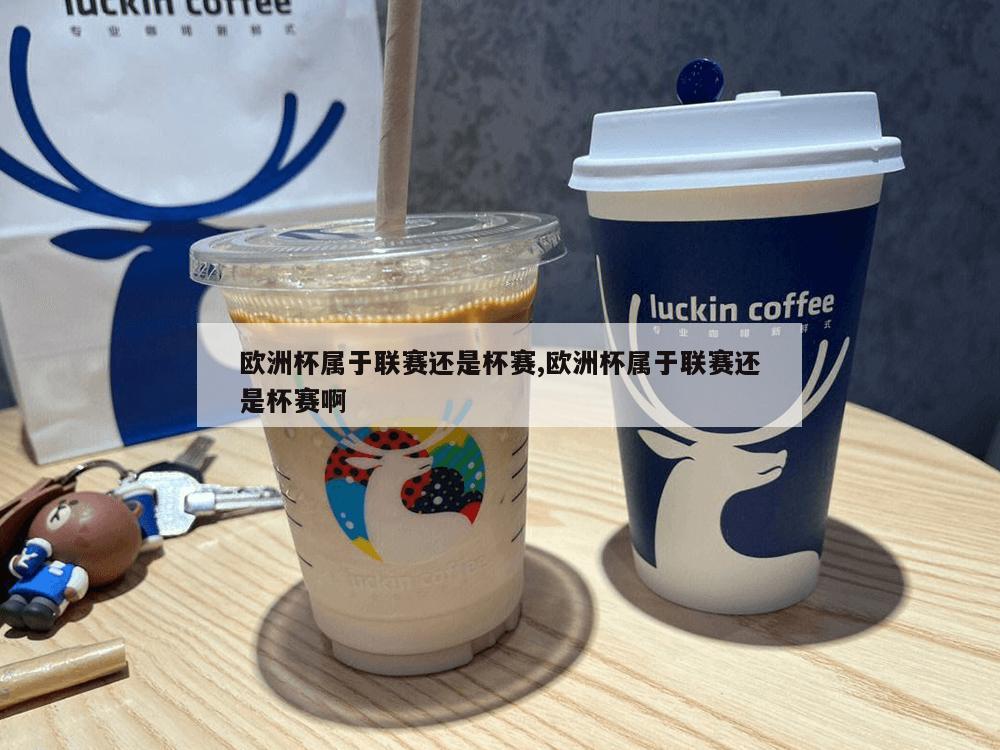 欧洲杯属于联赛还是杯赛,欧洲杯属于联赛还是杯赛啊