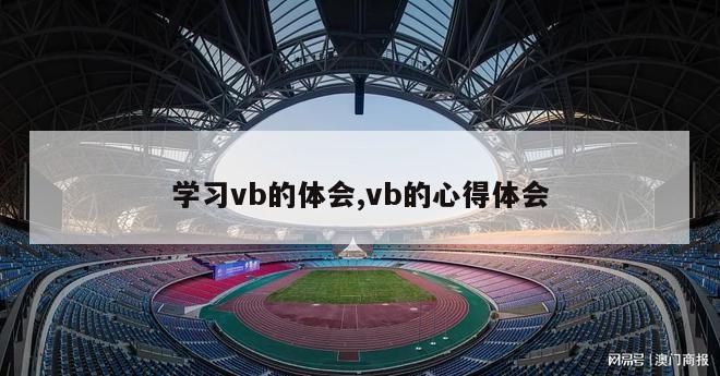 学习vb的体会,vb的心得体会