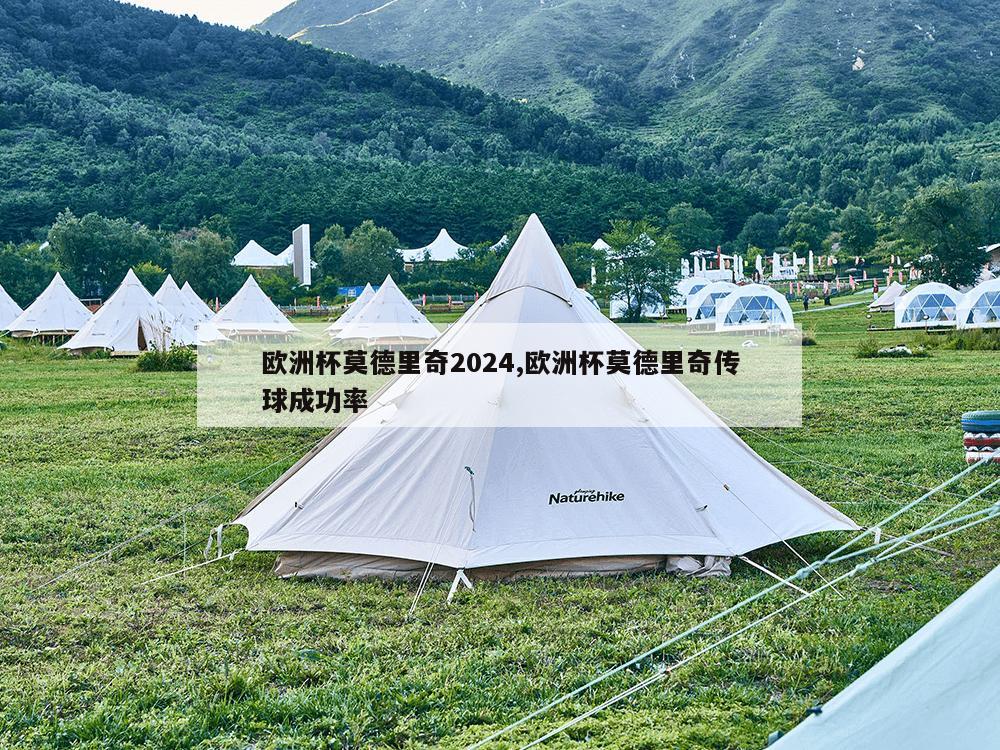 欧洲杯莫德里奇2024,欧洲杯莫德里奇传球成功率