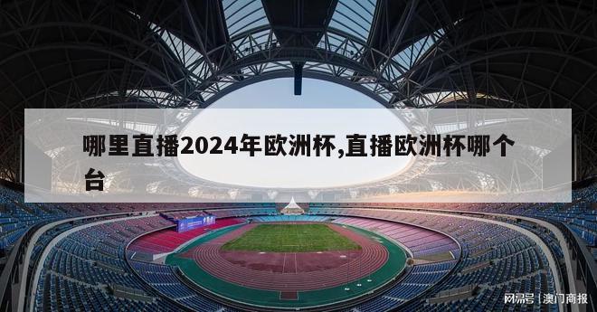 哪里直播2024年欧洲杯,直播欧洲杯哪个台