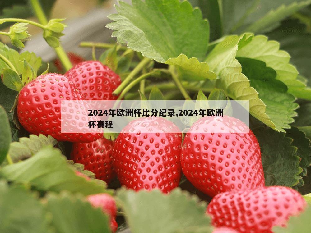 2024年欧洲杯比分纪录,2024年欧洲杯赛程