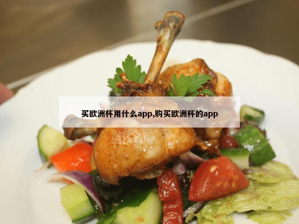 买欧洲杯用什么app,购买欧洲杯的app